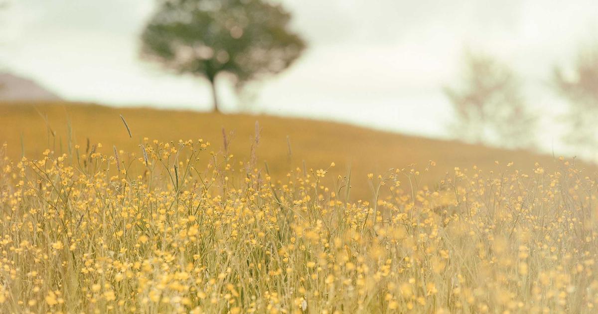 bathroom retiling DIY guide