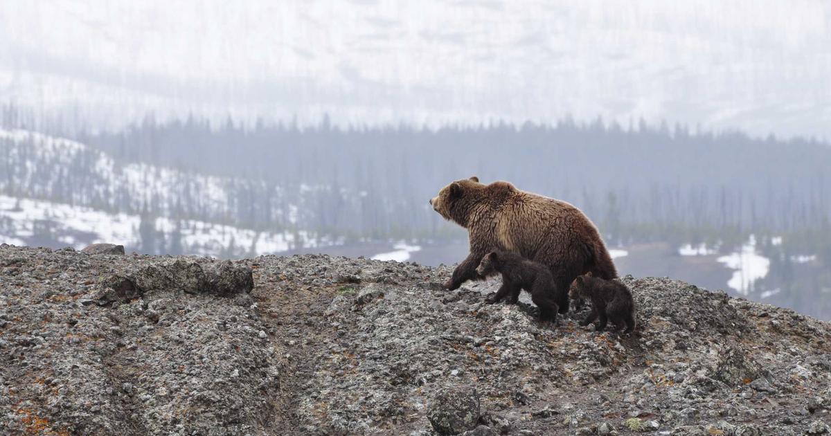 fixing a leaky faucet