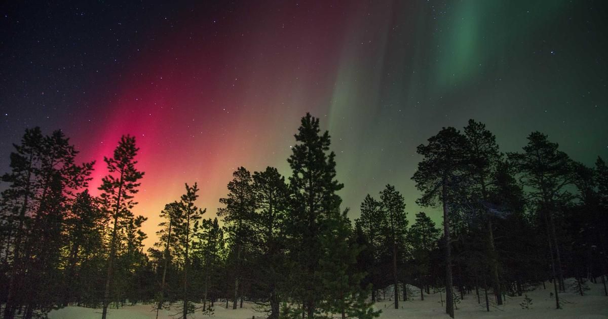 wood fence installation guide