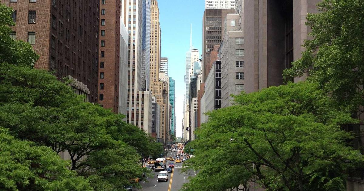 building a raised garden bed