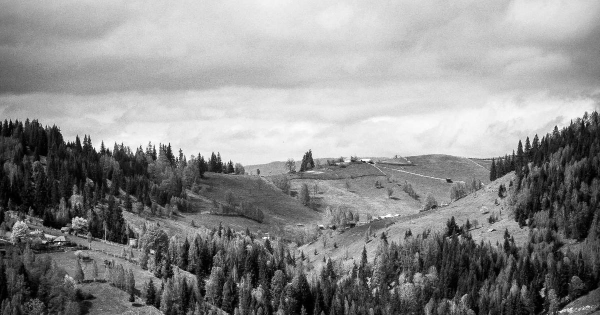 updating kitchen appliances