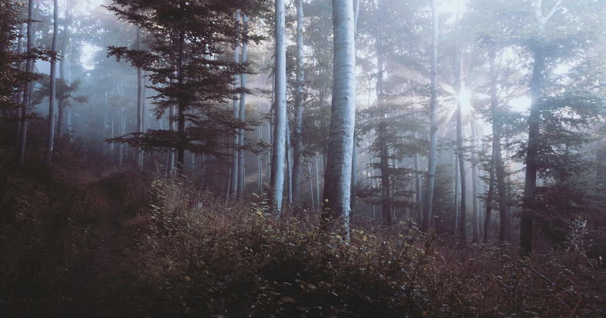 building a floating shelf