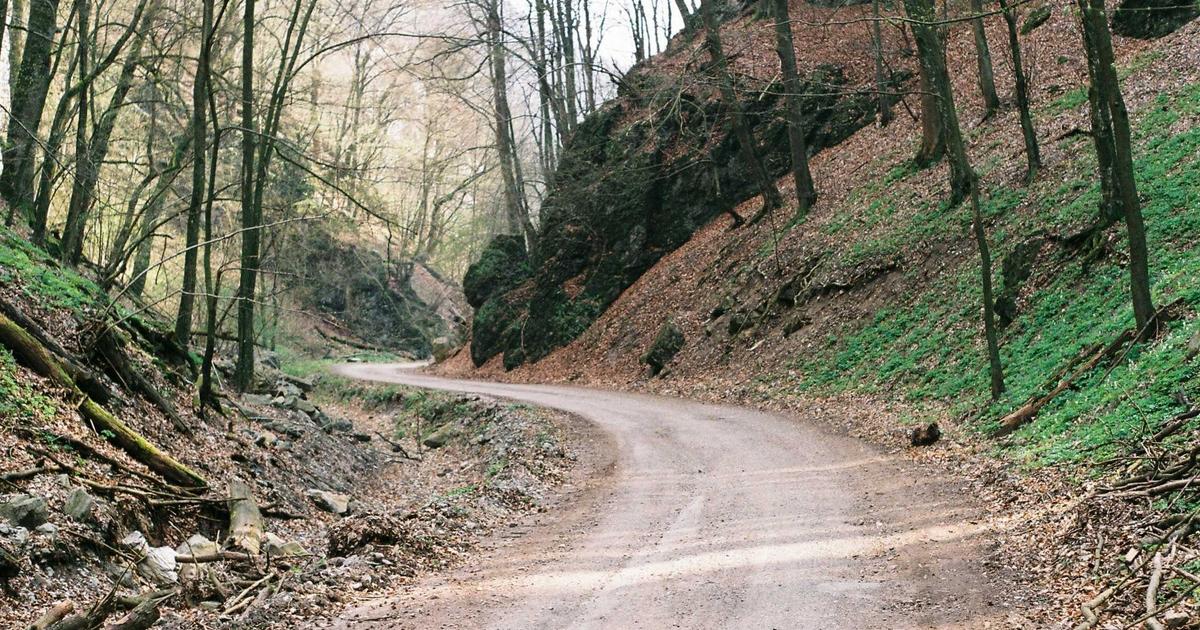 walk-in shower vs bathtub